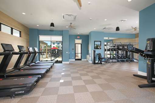 A gym with treadmills and exercise equipment.