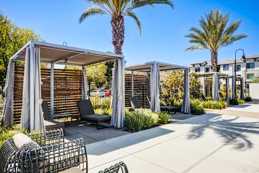 lounge seating with cabanas and trees