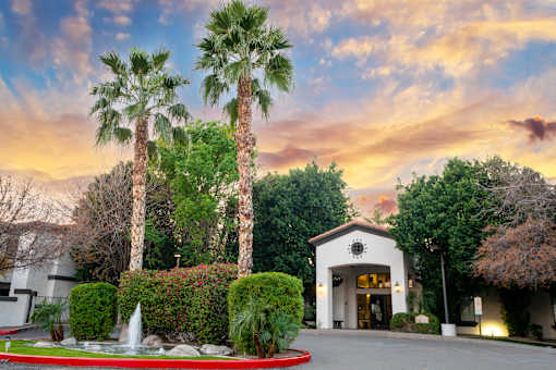 A building with a fountain in front of it and palm trees around it.