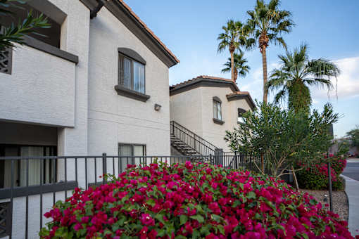 A house with a large bush of pink flowers in front.