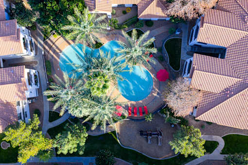 A pool surrounded by palm trees and red chairs.