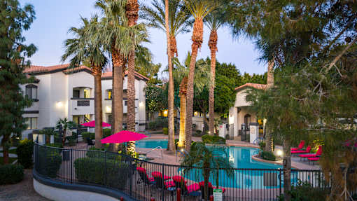 A pool surrounded by palm trees and red chairs.