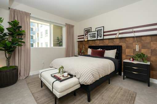 A bedroom with a large bed and a plant on the side table.