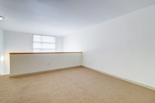unfurnished loft space with carpet and large window
