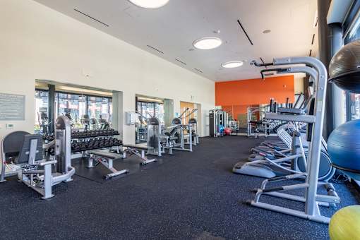 A gym with a variety of equipment including weights and cardio machines.