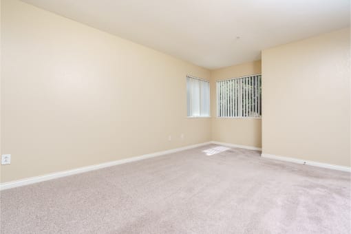 renovated bedroom with carpet flooring