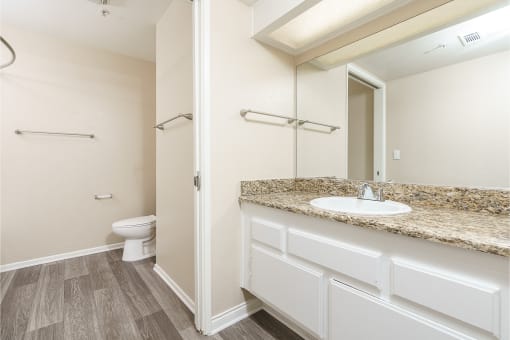 renovated bathroom with plank style flooring