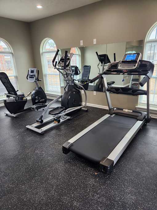A gym with treadmills, elliptical machines, and a mirror.