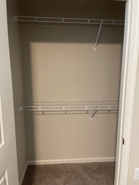 Empty white closet with shelves and carpeted floor.