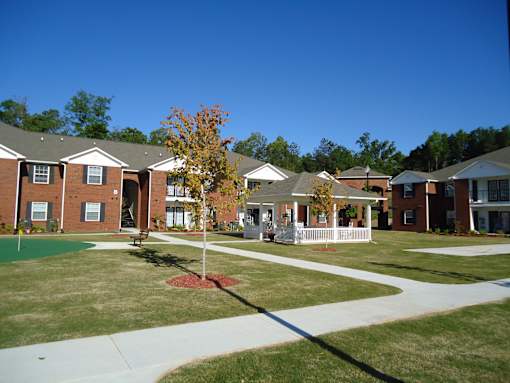 A tree with a yellow trunk stands in a grassy area in front of a building.