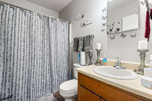 A bathroom with a toilet, sink, and shower curtain.