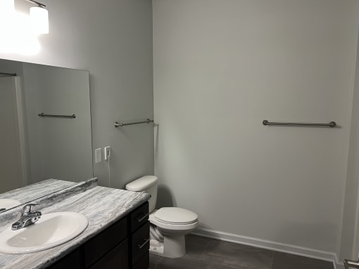 a bathroom with a sink and a toilet