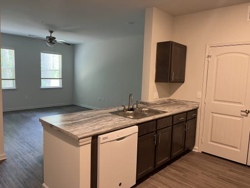 a kitchen with a sink and a dishwasher