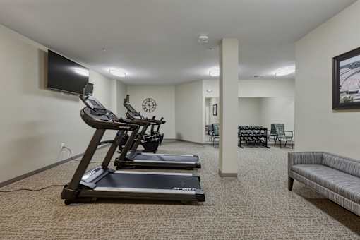 A room with a treadmill, a couch, and a television.