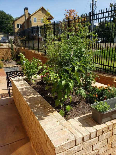 A garden with a brick wall and a black fence.