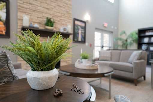 A living room with a potted plant on the table.