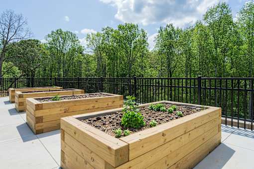 A row of wooden planters with green plants in them.