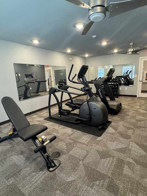 A gym with a row of stationary bikes.