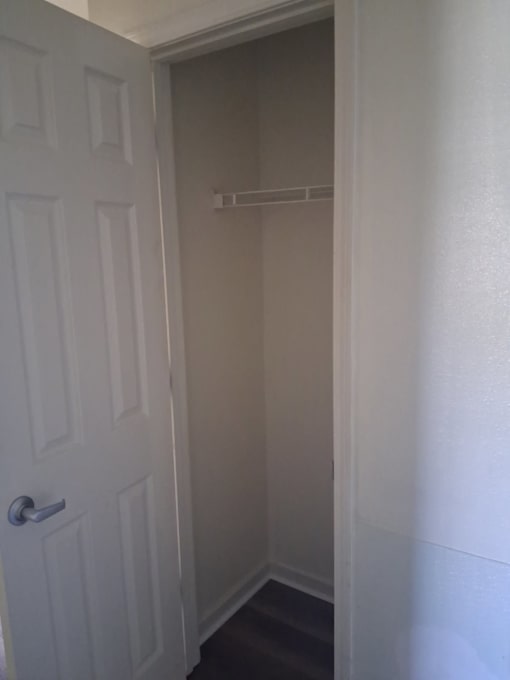 A white door is open to a small closet.