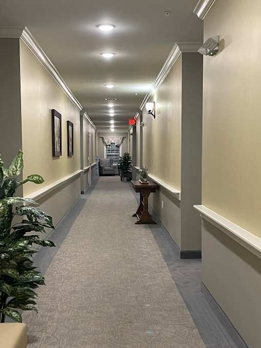 A long hallway with a green plant in the foreground.