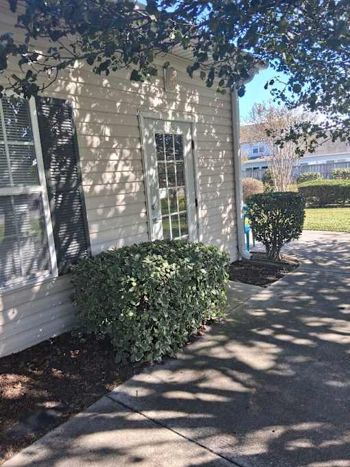 A white house with a window and a bush in front.