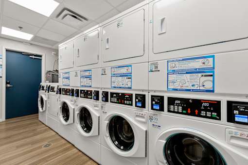 A row of white washing machines are lined up in a room.