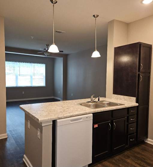 A kitchen with a white dishwasher and a sink.