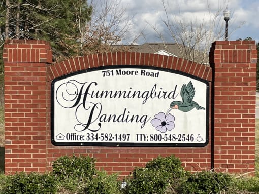 Hummingbird Landing