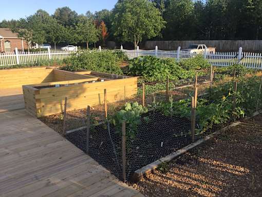 A garden with a wooden deck and vegetable beds.