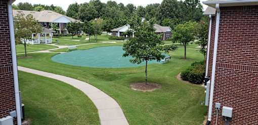 A tree is planted in a circle in a grassy area.