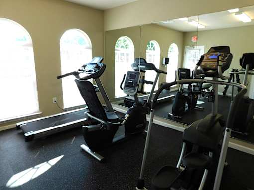 A gym with treadmills, elliptical machines, and other cardio equipment.