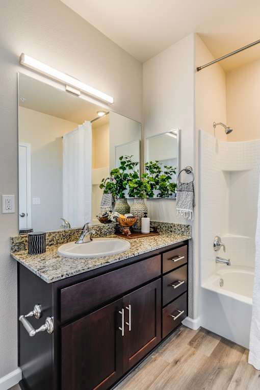 A bathroom with a sink, mirror, and a plant.