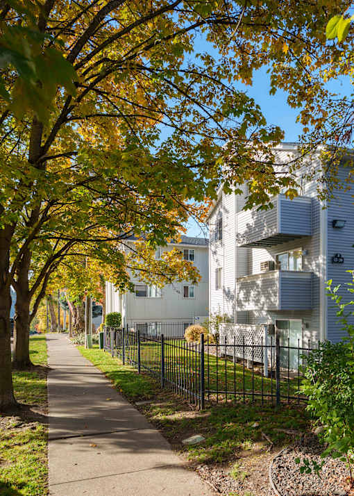A tree with yellow leaves is in front of a white building.at Ironwood Apartments, Coeur d'Alene, ID, 83814