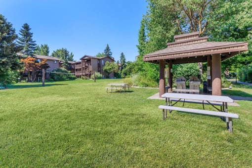 a picnic table and gazebo in a grassy area with apartment buildings in the