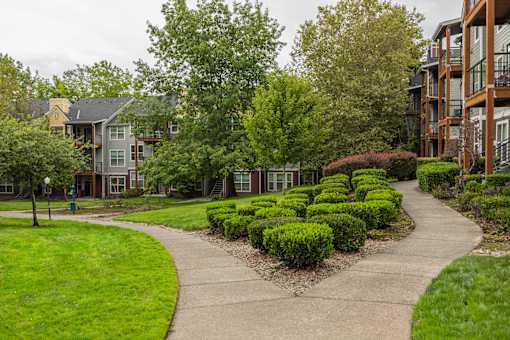 A residential area with a pathway and green bushes.