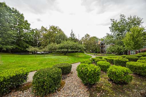 A garden with green bushes and a gravel path.