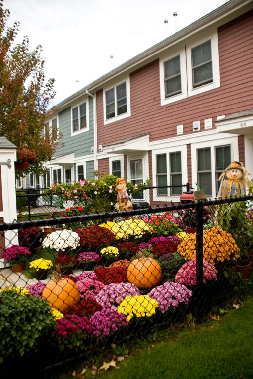 a yard filled with pumpkins in front of a house