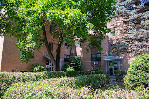 a brick apartment building with a tree in front of it
