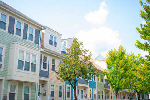 a row of townhomes with trees in the foreground