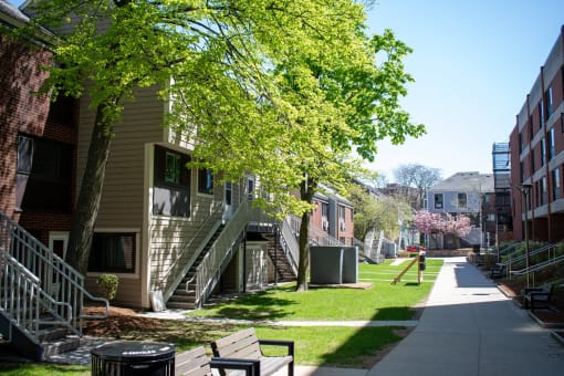 a city sidewalk with benches and trees in front of houses