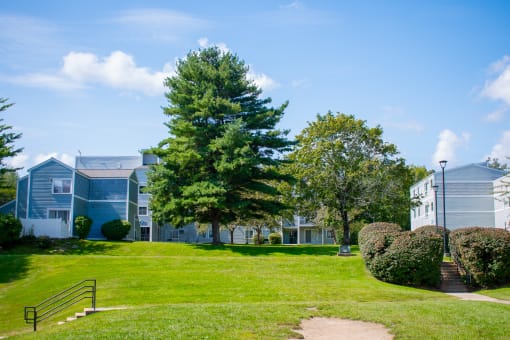 a grassy area with trees and buildings in the background