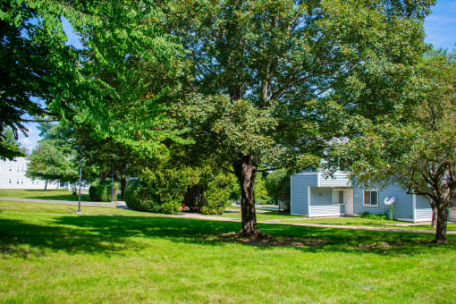 a grassy area with trees and a house in the background