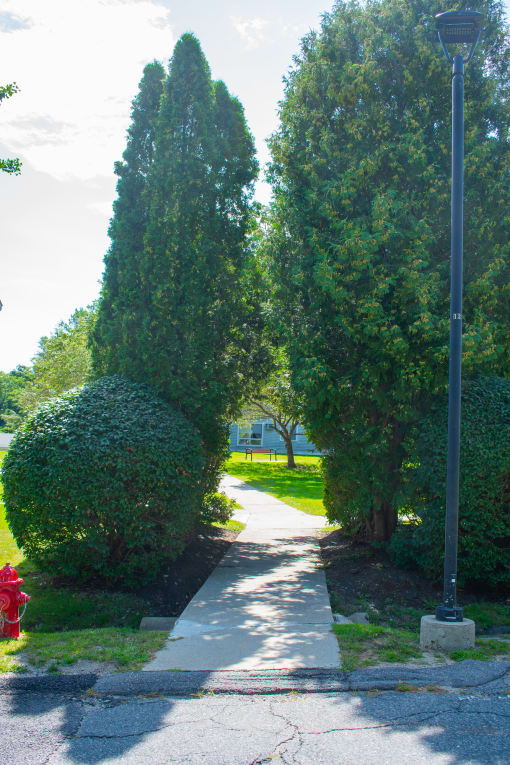 a fire hydrant in the middle of a sidewalk with trees on either side