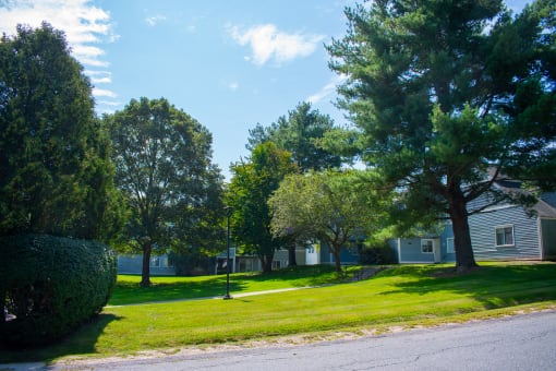 a grassy area with trees and houses in the background