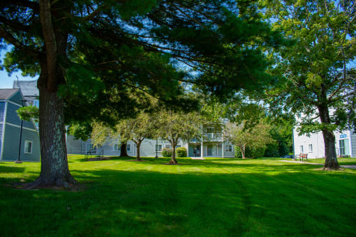 a grassy area with trees in front of a building