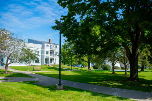 a path in a park with a building in the background
