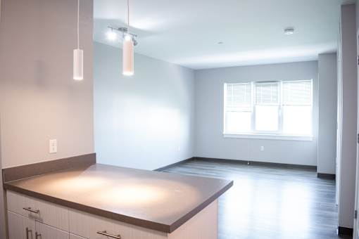 A kitchen with a counter and cabinets.