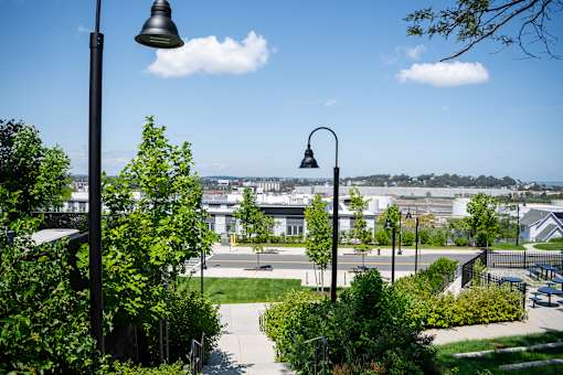 A park with a view of the city in the distance.