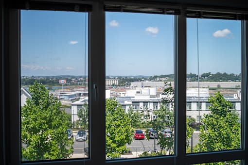 A view of a cityscape through a window with trees in the foreground.
