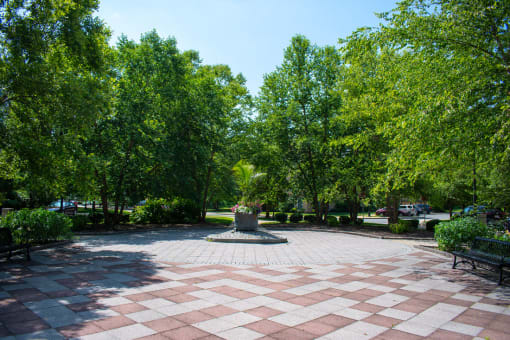 a fountain in the middle of a park